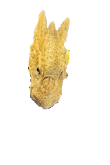 13 animal head 3-20-2026 - Edited - Edited