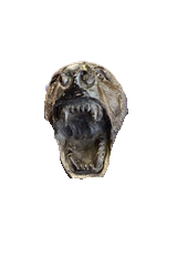 8 black snake head 3-20-2026 - Edited - Edited